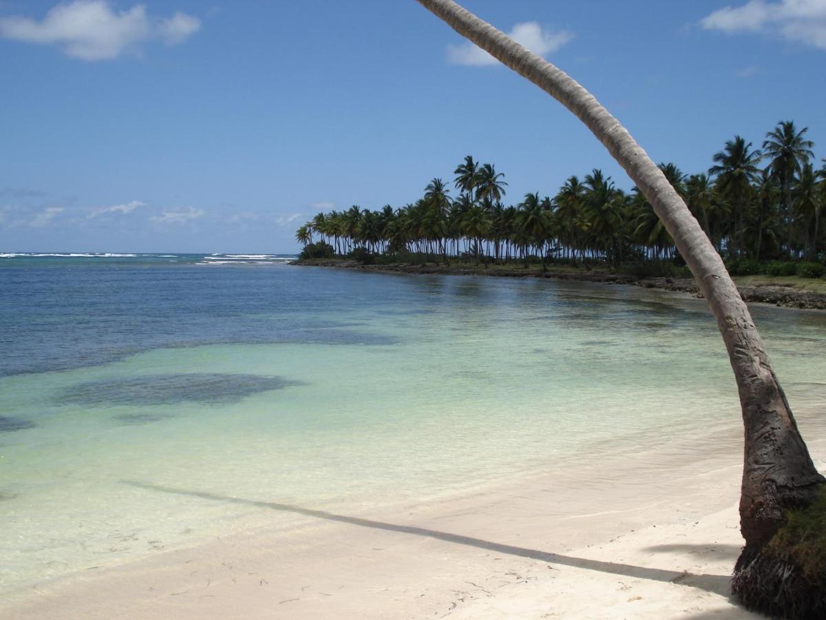 Palm-Covered House In The Tropical -Casa Oli Las Galeras Kültér fotó