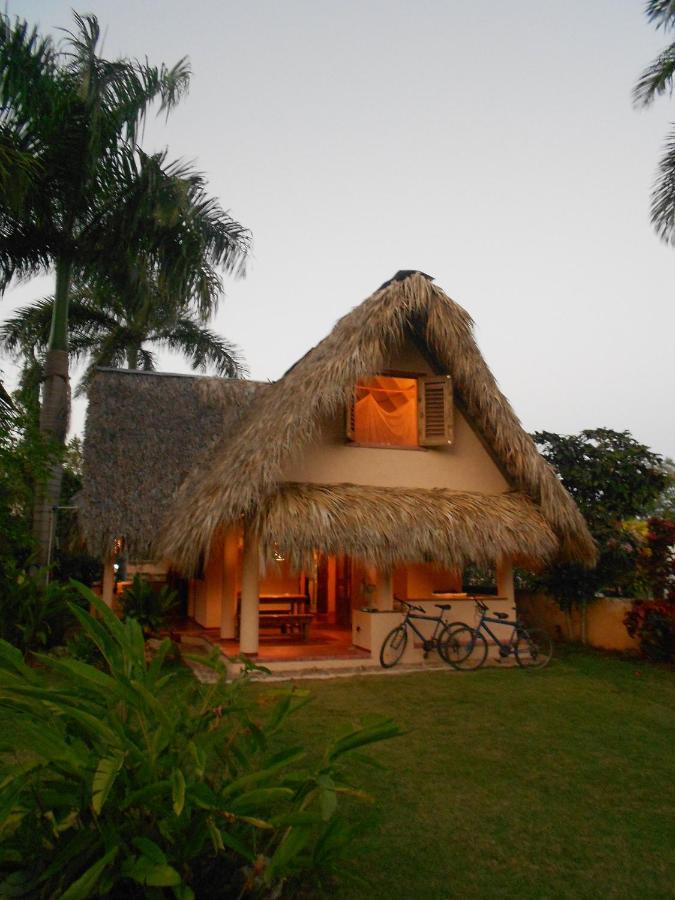 Palm-Covered House In The Tropical -Casa Oli Las Galeras Kültér fotó