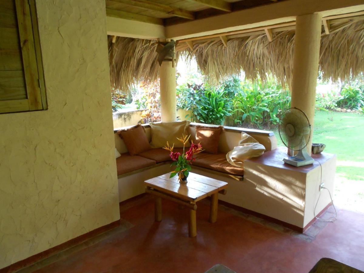 Palm-Covered House In The Tropical -Casa Oli Las Galeras Kültér fotó