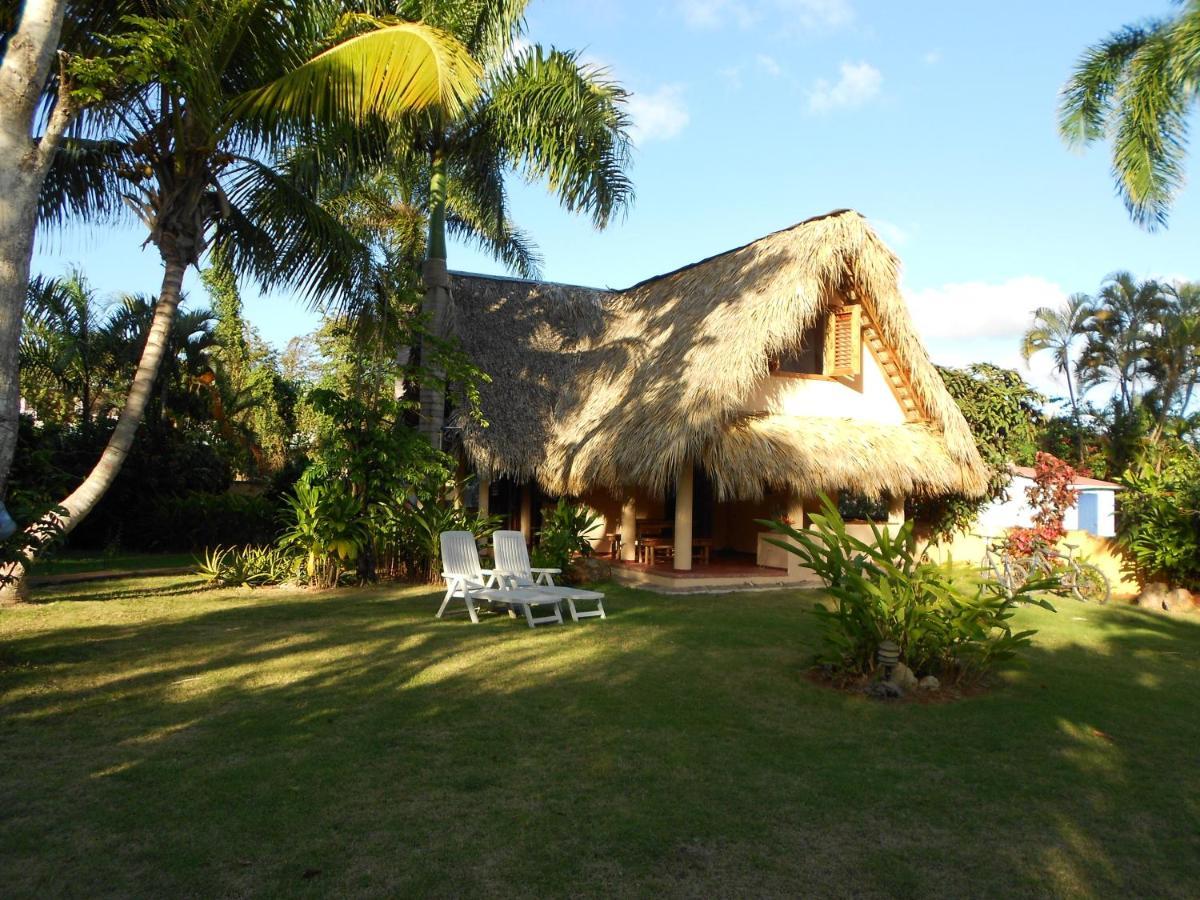 Palm-Covered House In The Tropical -Casa Oli Las Galeras Kültér fotó
