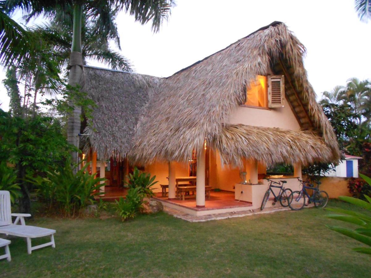 Palm-Covered House In The Tropical -Casa Oli Las Galeras Kültér fotó