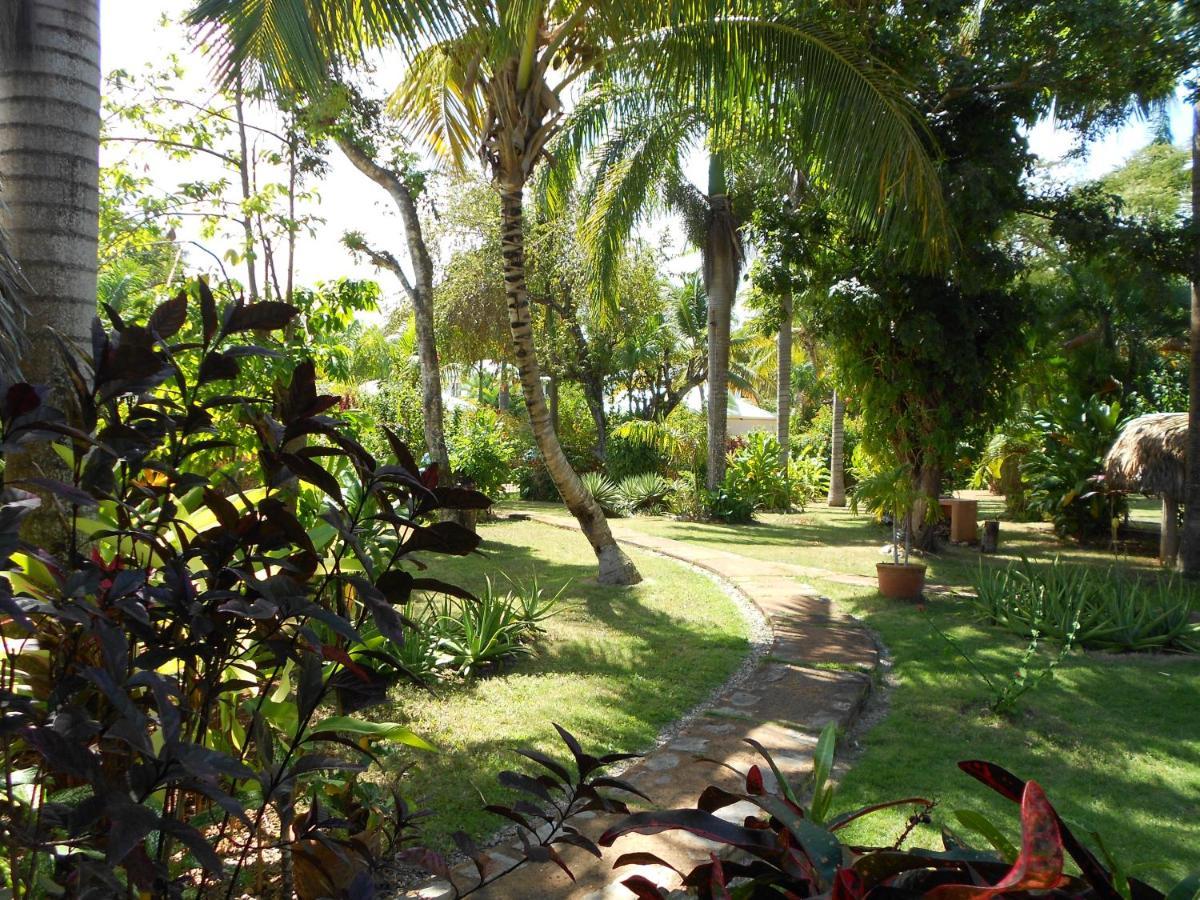Palm-Covered House In The Tropical -Casa Oli Las Galeras Kültér fotó